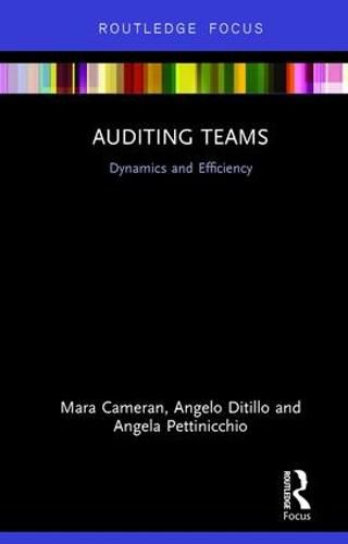 Cover image for Auditing Teams: Dynamics and Efficiency