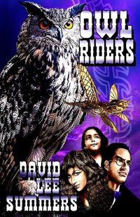 Cover image for Owl Riders