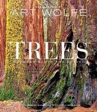 Cover image for Trees: Between Earth and Heaven