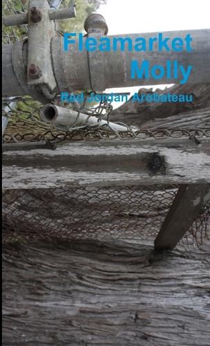 Cover image for Fleamarket Molly