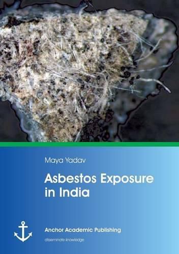 Cover image for Asbestos Exposure in India