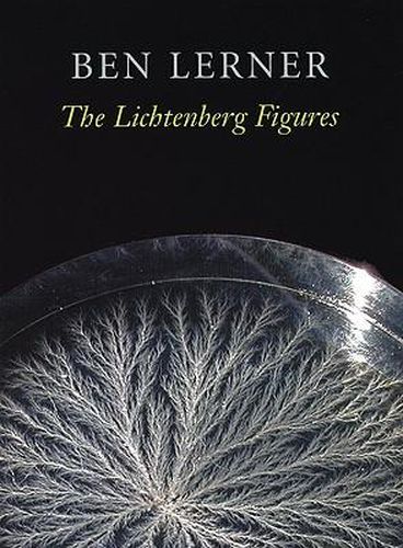 Cover image for The Lichtenberg Figures