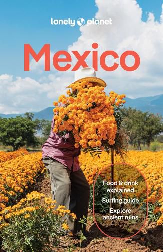 Cover image for Lonely Planet Mexico