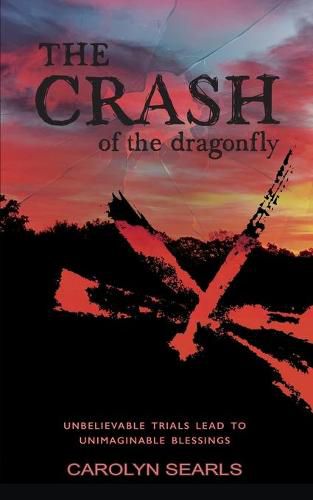 Cover image for The Crash of the Dragonfly: Unbelievable Trials Lead to Unimaginable Blessings