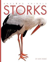 Cover image for Storks