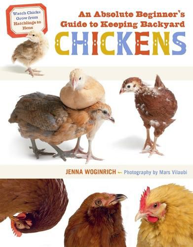 Cover image for Absolute Beginner's Guide to Keeping Backyard Chickens: Watch Chicks Grow from Hatchlings to Hens