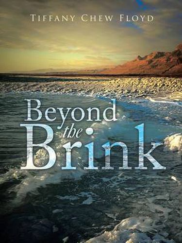 Cover image for Beyond the Brink