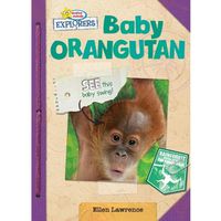 Cover image for Baby Orangutan