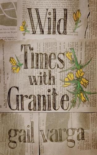 Cover image for Wild Times with Granite