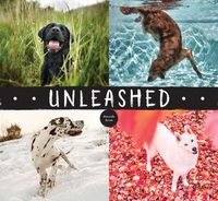 Cover image for Unleashed