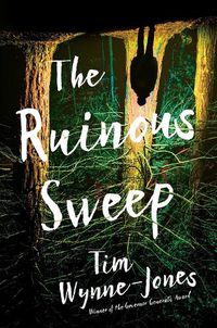 Cover image for The Ruinous Sweep