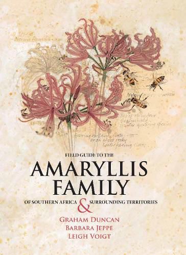 Cover image for Field Guide to the Amaryllis Family of Southern Africa & Surrounding Territories