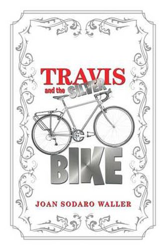 Cover image for Travis and the Silver Bike