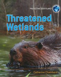 Cover image for Threatened Wetlands