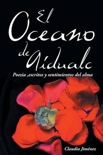 Cover image for El Oceano de Aidualc