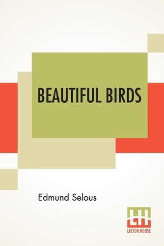 Cover image for Beautiful Birds