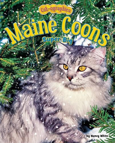 Cover image for Maine Coons: Super Big