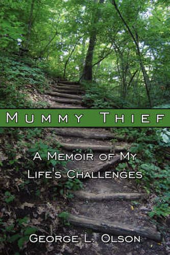 Cover image for Mummy Thief