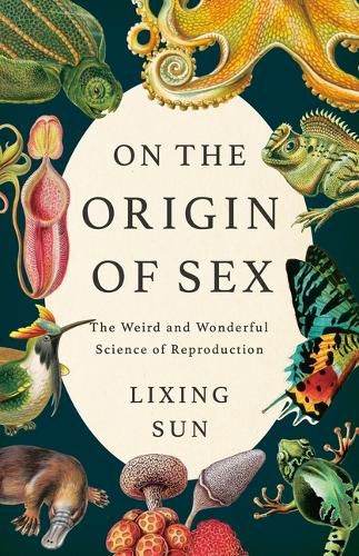 Cover image for On the Origin of Sex