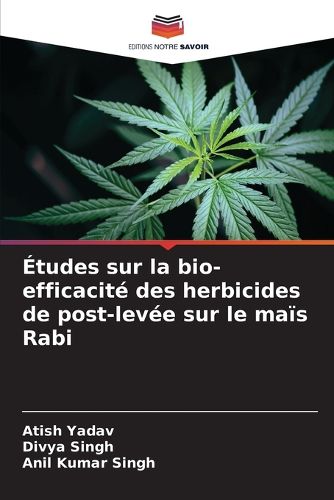Cover image for Etudes sur la bio-efficacite des herbicides de post-levee sur le mais Rabi