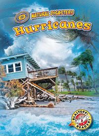 Cover image for Hurricanes