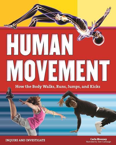 Cover image for Human Movement: How the Body Walks, Runs, Jumps, and Kicks