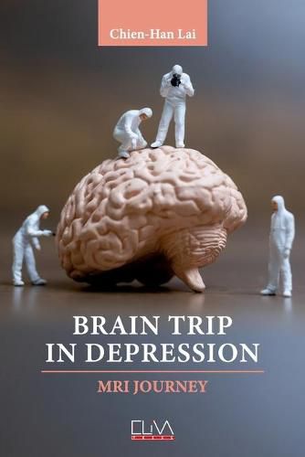 Cover image for Brain Trip in Depression: MRI Journey