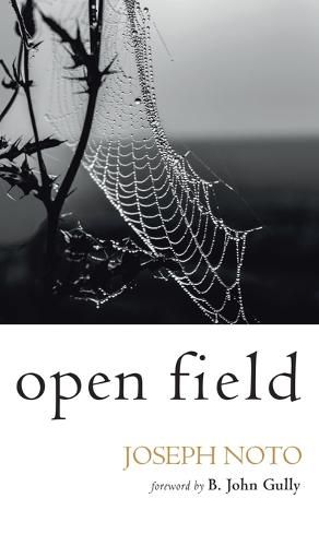 Cover image for Open Field