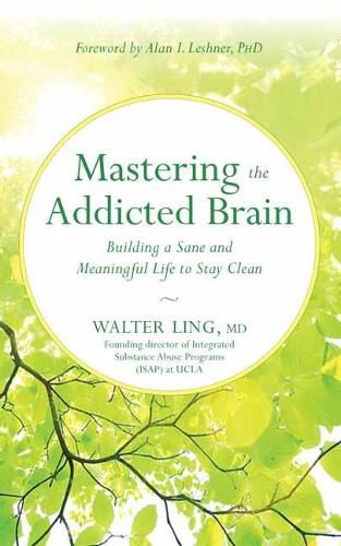 Cover image for Mastering the Addicted Brain