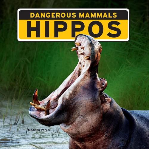 Cover image for Hippos