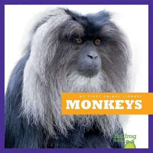 Cover image for Monkeys