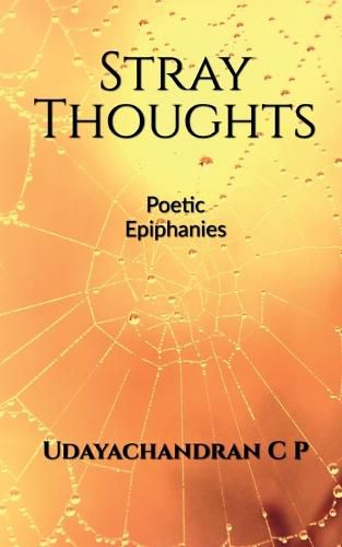 Cover image for Stray Thoughts