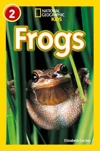 Frogs: Level 2