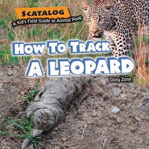 Cover image for How to Track a Leopard