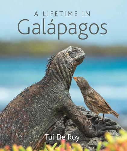 Cover image for A Lifetime in Galapagos