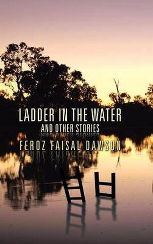 Cover image for Ladder in the Water and Other Stories