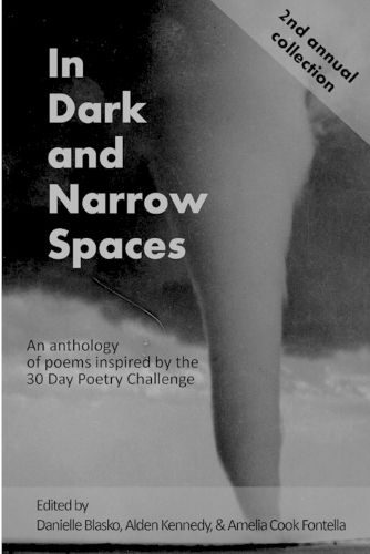 Cover image for In Dark and Narrow Spaces
