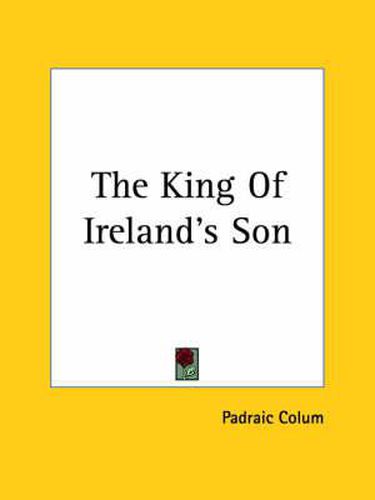 Cover image for The King Of Ireland's Son