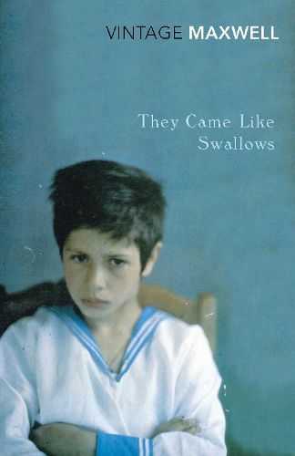 Cover image for They Came Like Swallows
