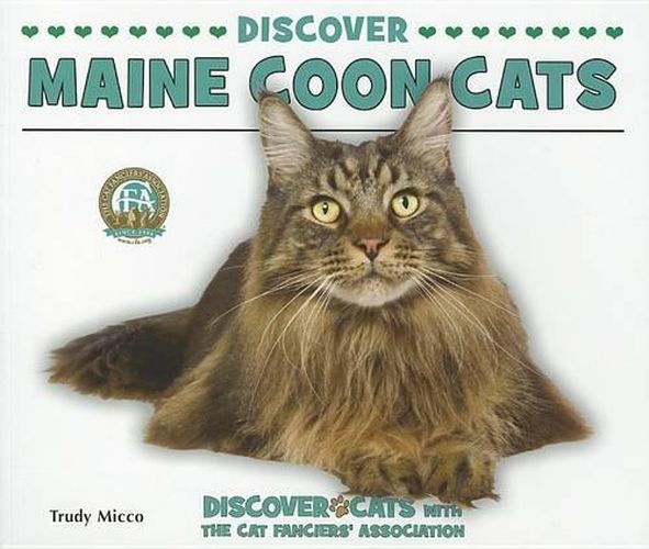 Cover image for Discover Maine Coon Cats