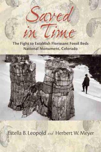 Cover image for Saved in Time: The Fight to Establish Florissant Fossil Beds National Monument, Colorado