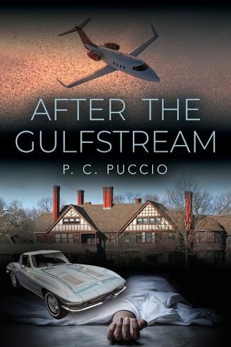 Cover image for After the Gulfstream