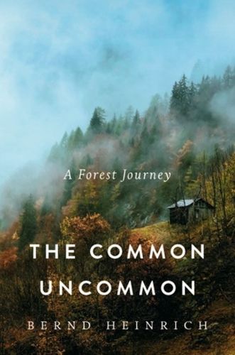 Cover image for The Common Uncommon