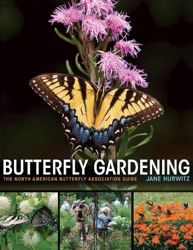 Cover image for Butterfly Gardening: The North American Butterfly Association Guide