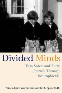 Cover image for Divided Minds