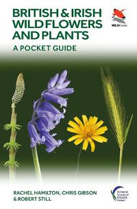 Cover image for British and Irish Wild Flowers and Plants: A Pocket Guide