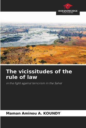 Cover image for The vicissitudes of the rule of law