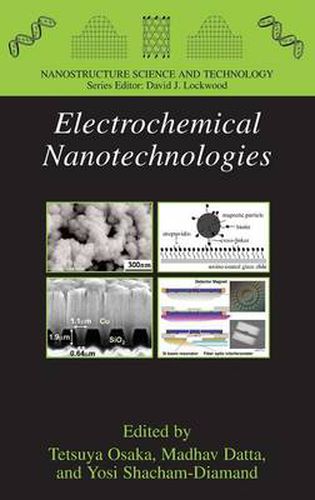 Electrochemical Nanotechnologies