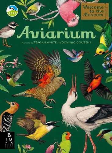 Cover image for Aviarium