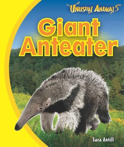 Cover image for Giant Anteater